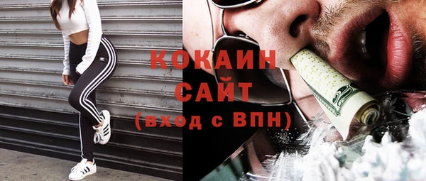 винт Абаза