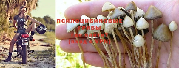 соль ск Абдулино