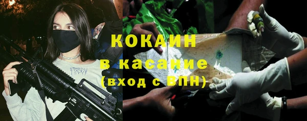винт Абаза